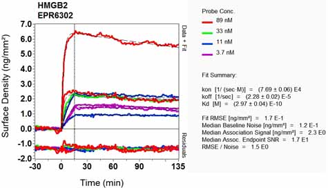 OI-RD Scanning - Anti-HMGB2 antibody [EPR6302] (ab133540), expandable thumbnail