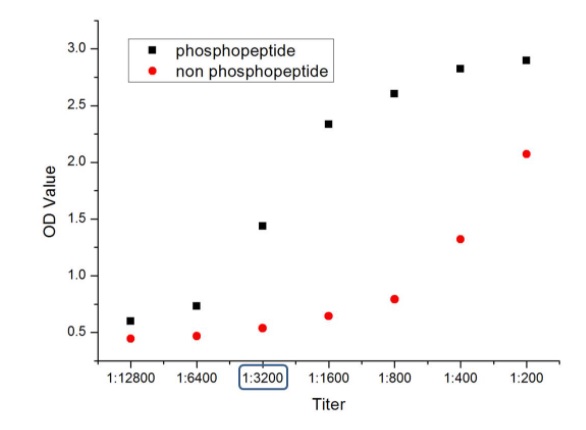 ELISA - Anti-HMGCR (phospho S872) antibody (AB215437), expandable thumbnail