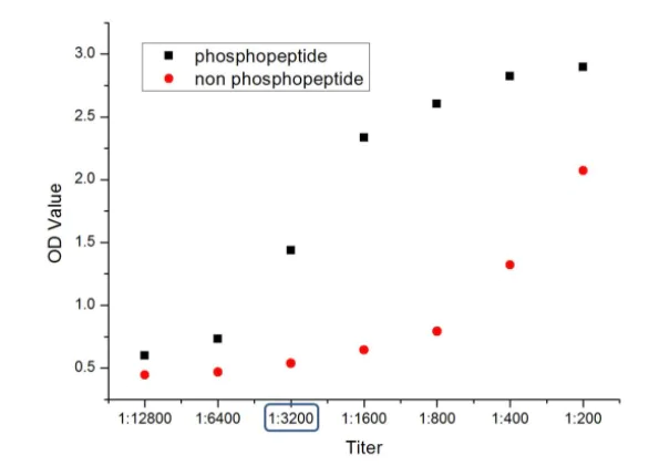 ELISA - Anti-HMGCR (phospho S872) antibody (AB215437)