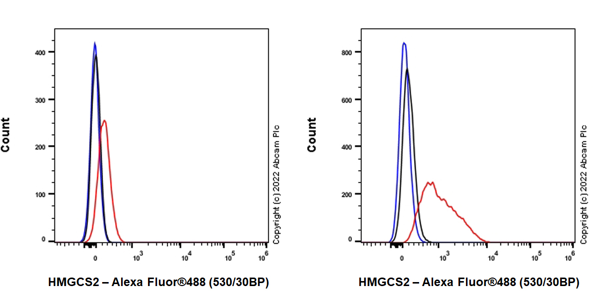 Flow Cytometry (Intracellular) - Anti-HMGCS2 antibody [EPR26978-39] (ab305227), expandable thumbnail