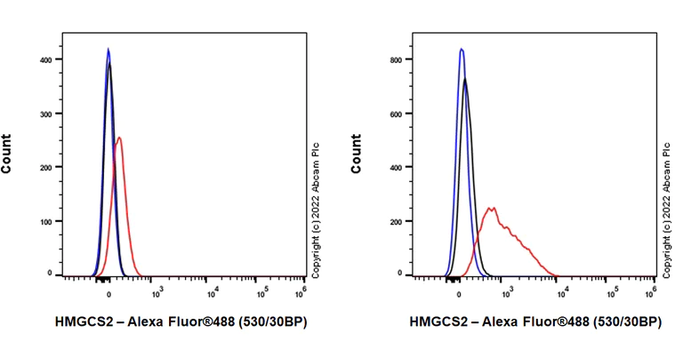 Flow Cytometry (Intracellular) - Anti-HMGCS2 antibody [EPR26978-39] (AB305227)