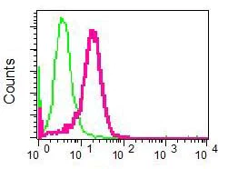 Flow Cytometry (Intracellular) - Anti-HN1 antibody [EPR7364] - BSA and Azide free (AB248138)