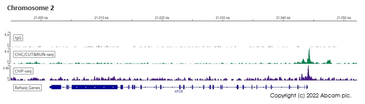 ChIC/CUT&RUN sequencing - Anti-HNF-4-alpha antibody [EPR16786] - BSA and Azide free (AB251275)