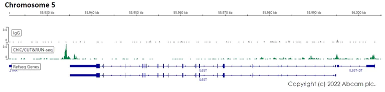 ChIC/CUT&RUN sequencing - Anti-HNF-4-alpha antibody [EPR16885-99] - BSA and Azide free (AB231167)