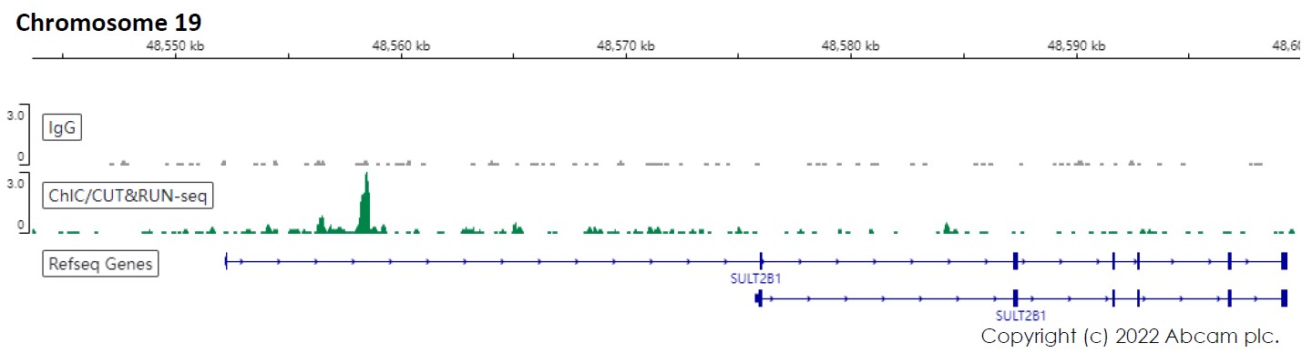 ChIC/CUT&RUN sequencing - Anti-HNF-4-alpha antibody [EPR16885] - ChIP Grade (ab181604), expandable thumbnail