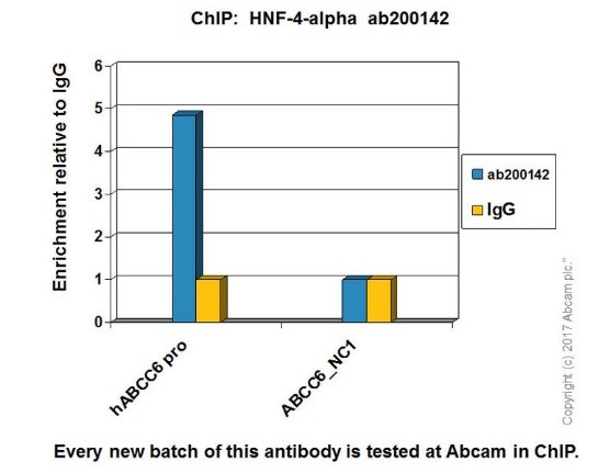 ChIP - Anti-HNF-4-alpha antibody [EPR19265-130] - ChIP Grade (AB200142), expandable thumbnail