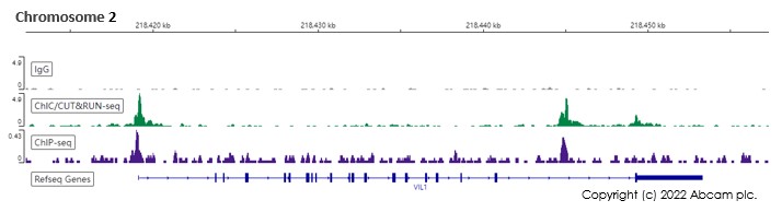 ChIC/CUT&RUN sequencing - Anti-HNF-4-alpha antibody [EPR3648] - BSA and Azide free (ab227997), expandable thumbnail