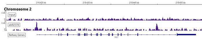 ChIP-sequencing - Anti-HNF-4-alpha antibody [EPR3648] - BSA and Azide free (ab227997), expandable thumbnail