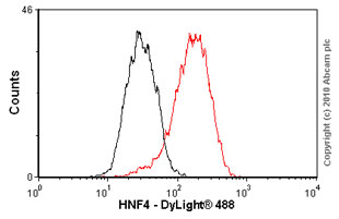 Anti-HNF-4-alpha antibody [K9218](ab41898)