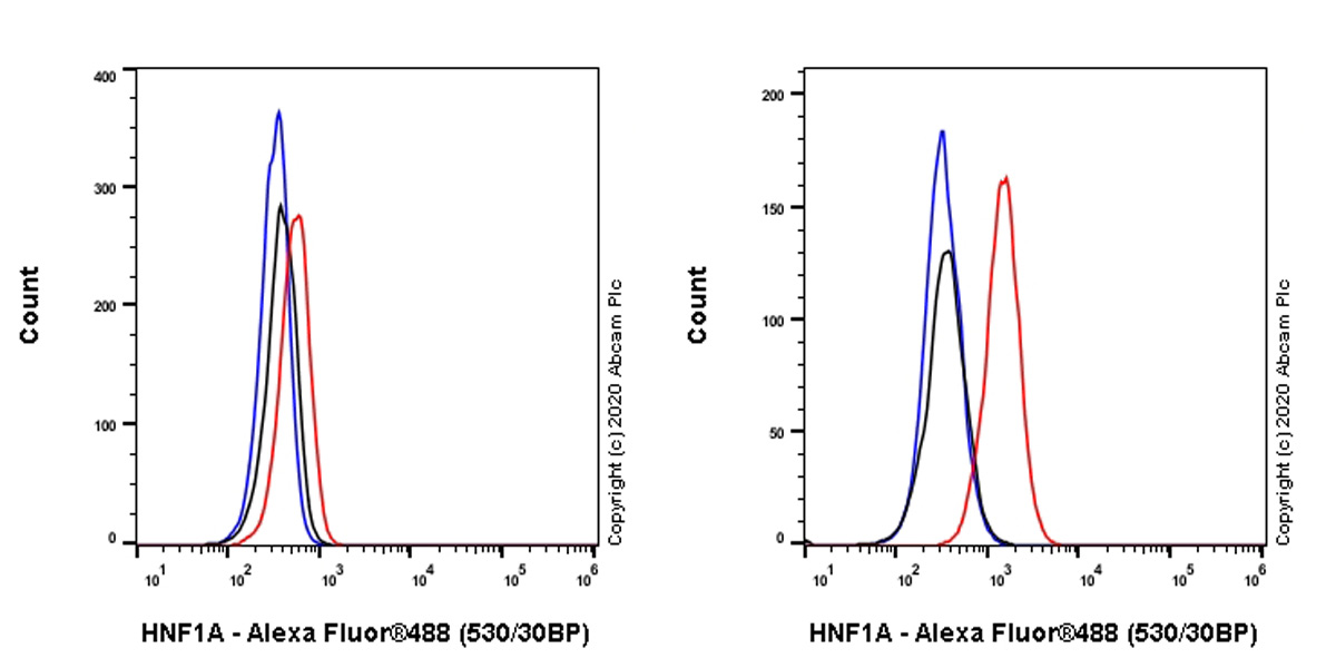 Flow Cytometry (Intracellular) - Anti-HNF1 alpha antibody [EPR23054-108] (AB272693), expandable thumbnail