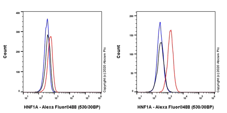 Flow Cytometry (Intracellular) - Anti-HNF1 alpha antibody [EPR23054-108] - BSA and Azide free (AB272708)