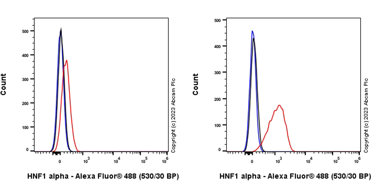 Flow Cytometry (Intracellular) - Anti-HNF1 alpha antibody [RM1094] (ab316870), expandable thumbnail