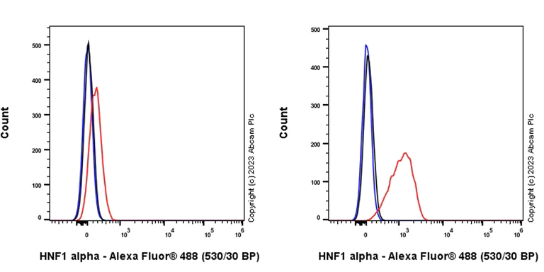 Flow Cytometry (Intracellular) - Anti-HNF1 alpha antibody [RM1094] - BSA and Azide free (AB316871)
