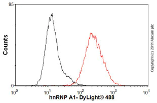 Anti-hnRNP A1 antibody [9H10] (ab5832) | Abcam