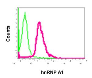 Flow Cytometry (Intracellular) - Anti-hnRNP A1 antibody [EPR12768] (ab177152), expandable thumbnail