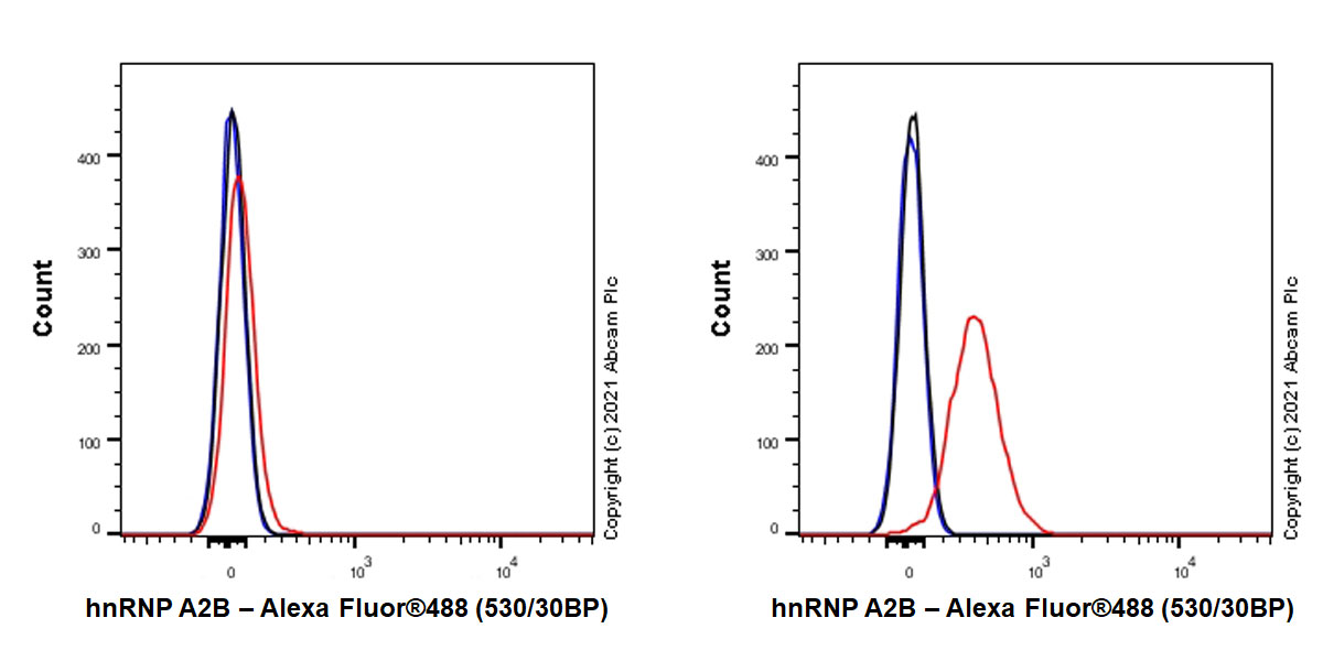 Flow Cytometry (Intracellular) - Anti-hnRNP A2B1 antibody [EPR24002-81] - BSA and Azide free (ab283592), expandable thumbnail