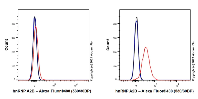 Flow Cytometry (Intracellular) - Anti-hnRNP A2B1 antibody [EPR24002-81] - BSA and Azide free (AB283592)