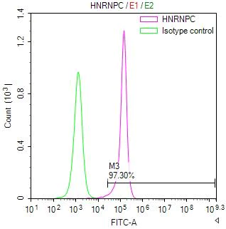 Flow Cytometry (Intracellular) - Anti-hnRNP C1/C2 antibody [9G1] (AB314004)