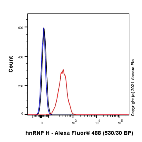 Flow Cytometry (Intracellular) - Anti-hnRNP H antibody [EPR25302-12] (AB289974)