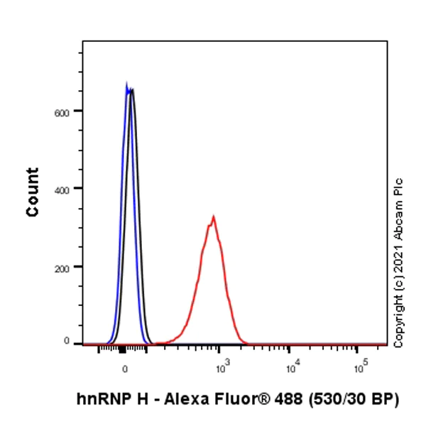 Flow Cytometry (Intracellular) - Anti-hnRNP H antibody [EPR25302-12] - BSA and Azide free (AB289999)