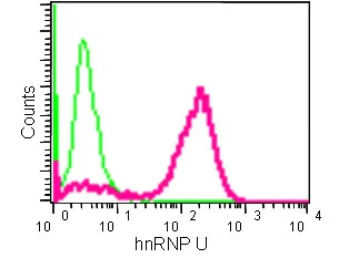 Flow Cytometry (Intracellular) - Anti-hnRNP U/p120 antibody [EPR12278(2)(B)] (AB180952)