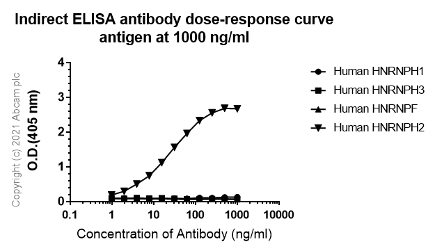 ELISA - Anti-HNRPH2/HNRNPH2 antibody [EPR12171] - BSA and Azide free (AB250397), expandable thumbnail