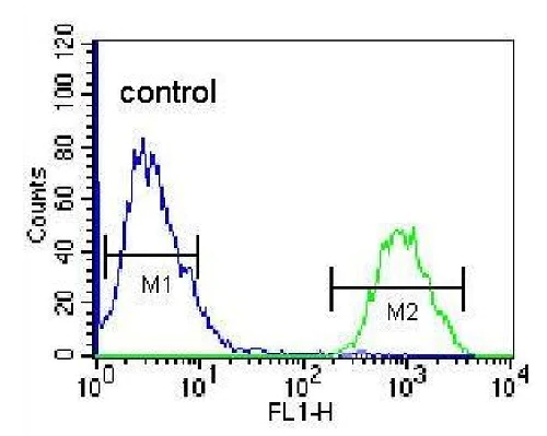 Flow Cytometry (Intracellular) - Anti-HOPX/HOD antibody (AB230544)