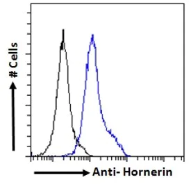 Flow Cytometry (Intracellular) - Anti-Hornerin antibody (AB78909)