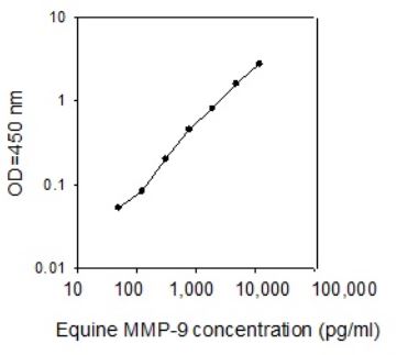 Sandwich ELISA - Horse MMP9 ELISA kit (AB272029), expandable thumbnail