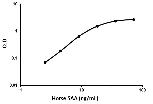 Sandwich ELISA - Horse SAA ELISA Kit (AB205087)