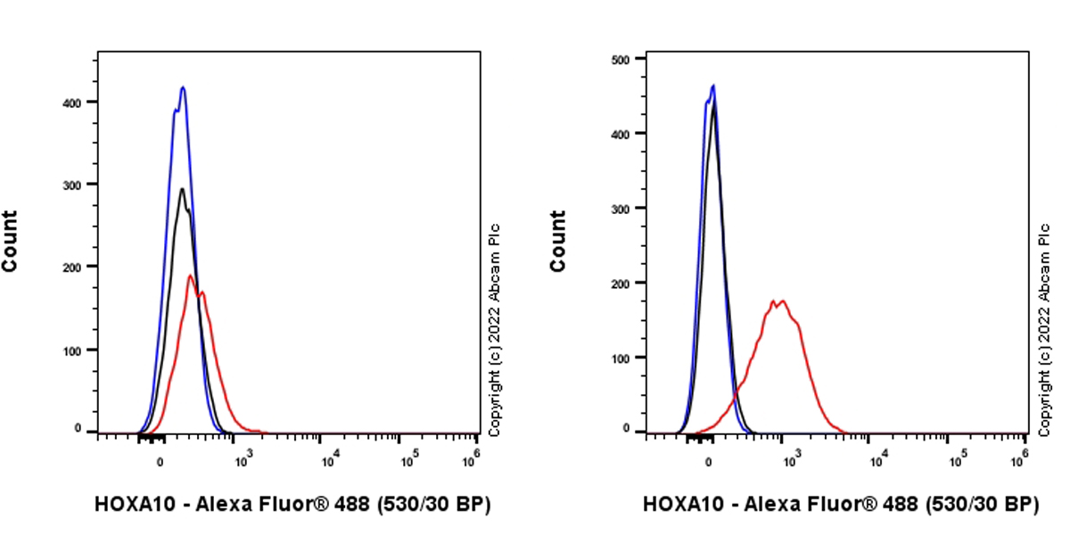Flow Cytometry (Intracellular) - Anti-HOXA10 antibody [EPR27317-76] (ab308516), expandable thumbnail