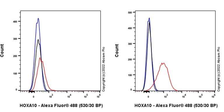 Flow Cytometry (Intracellular) - Anti-HOXA10 antibody [EPR27317-76] (AB308516)