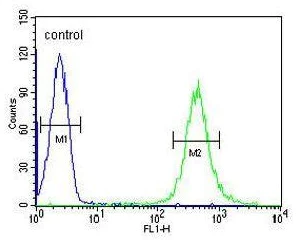 Flow Cytometry (Intracellular) - Anti-HOXA3 antibody - C-terminal (AB230879)