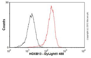 Flow Cytometry (Intracellular) - Anti-HOXB13 antibody [mAbcam53931] (AB53931), expandable thumbnail
