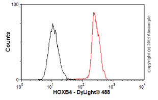 Flow Cytometry (Intracellular) - Anti-HOXB4 antibody [EP1919Y] (AB76093)