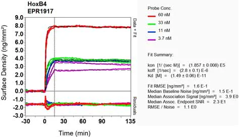 OI-RD Scanning - Anti-HOXB4 antibody [EPR1917] (AB133521)