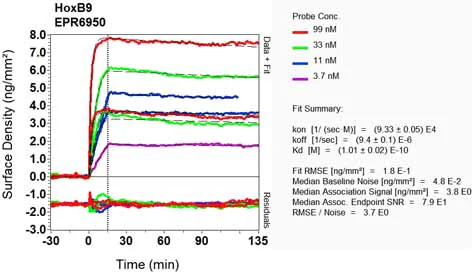 OI-RD Scanning - Anti-HOXB9 antibody [EPR6950] - BSA and Azide free (AB248623)