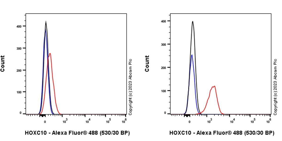 Flow Cytometry (Intracellular) - Anti-HOXC10 antibody [EPR27318-83] (AB308518), expandable thumbnail