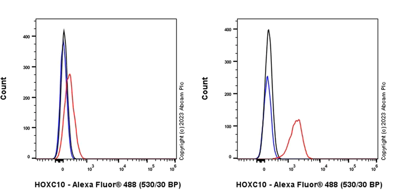 Flow Cytometry (Intracellular) - Anti-HOXC10 antibody [EPR27318-83] - BSA and Azide free (AB308519)
