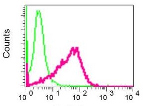 Flow Cytometry (Intracellular) - Anti-HOXD10 antibody [EPR9374] - BSA and Azide free (AB248855), expandable thumbnail