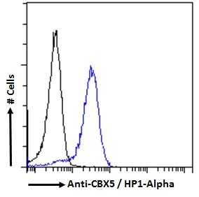 Flow Cytometry - Anti-HP1 alpha antibody (AB77256)