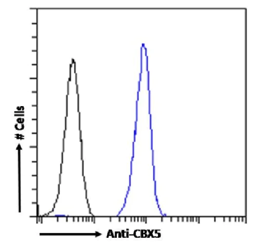 Flow Cytometry (Intracellular) - Anti-HP1 alpha antibody [RAB-C133] (AB317725)