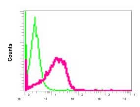 Flow Cytometry (Intracellular) - Anti-HP1 gamma/CBX3 antibody [EPR10466(B)] (AB154195)