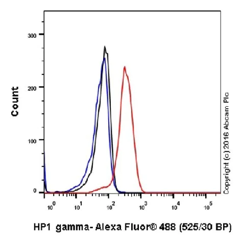 Flow Cytometry (Intracellular) - Anti-HP1 gamma/CBX3 antibody [EPR19803] - BSA and Azide free (AB251540)