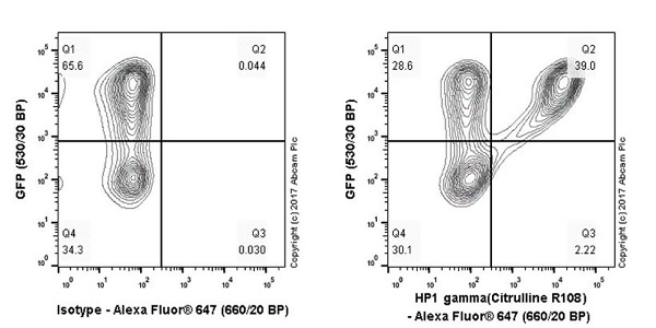 Flow Cytometry (Intracellular) - Anti-HP1 gamma/CBX3 (citrulline R108) antibody [EPR19802-202] - BSA and Azide free (AB251364), expandable thumbnail