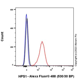 Flow Cytometry (Intracellular) - Anti-HPS1 antibody [EP8429(2)] (AB174301)