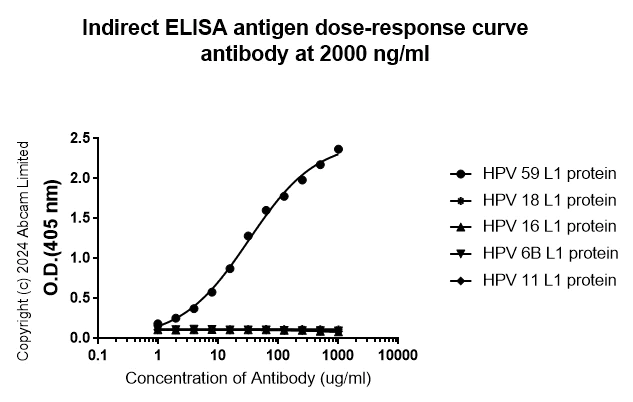 Indirect ELISA - Anti-HPV 59 L1 antibody [FR_αHPV59L1_6E12] - BSA and Azide free (AB324798)