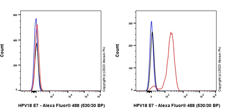 Flow Cytometry (Intracellular) - Anti-HPV18 E7 antibody [EPR26911-29] (AB308296)