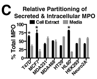 Conjugation - HRP Conjugation Kit - Lightning-Link® (AB102890)