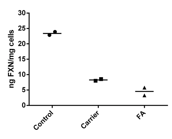 Sandwich ELISA - HRP Conjugation Kit - Lightning-Link® (AB102890)